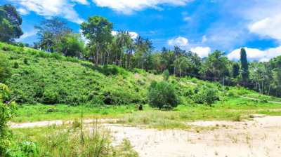 Flat land for sale at hinkong area