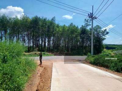 Land for sale in Trat Province (Owners Post)
