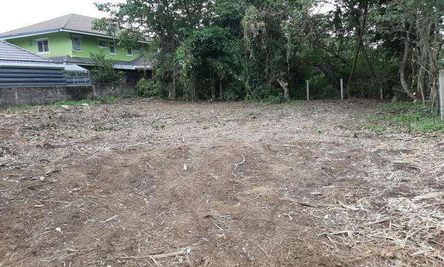Land for sale 2.5 km. from Nakorn Payap international school,