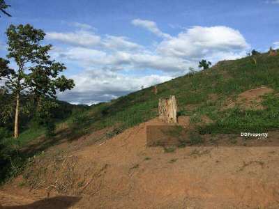 Land for sale in Wiang Nuea Subdistrict, Pai District (Owners Post)