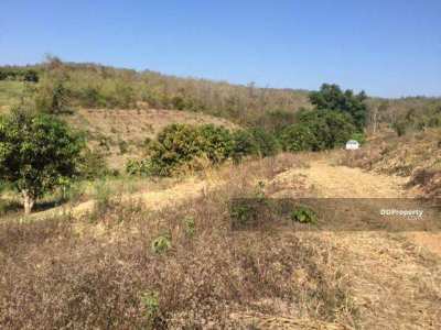 Land for Sale in Wiang Nuea Subdistrict, Pai District (12 Rai (Owners 