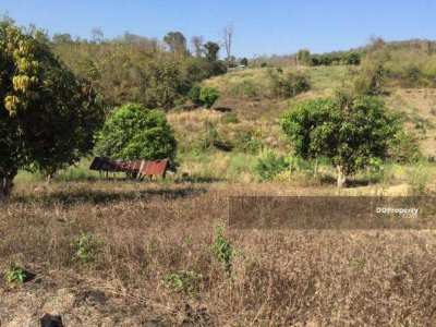 Land for Sale in Wiang Nuea Subdistrict, Pai District (12 Rai (Owners 