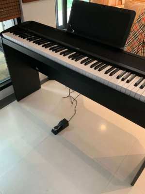 KORG Model B1 Electric Piano/Keyboard - as new and complete with stand