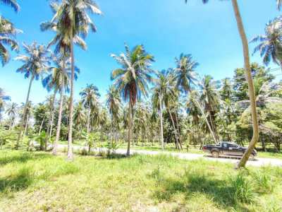 Land for lease in Koh Phangan