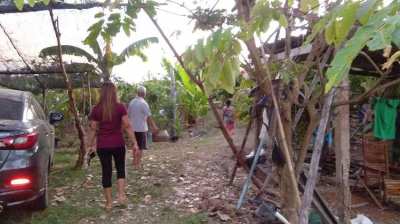  7 Rai of Land for sale in a Buriram Village