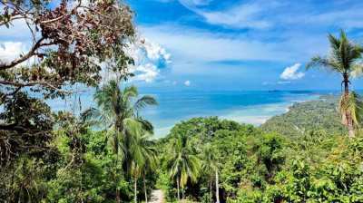 Stunning Sea-View Land In Koh Phangan