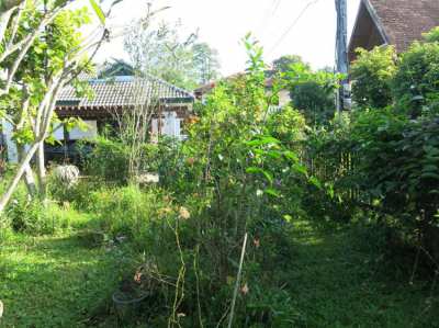 Modern 3 Bedroom home in Chang Kian Chiang Mai for sale.
