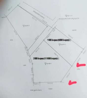 2 land plots only 900 meters from Mae Ramphueng beach!
