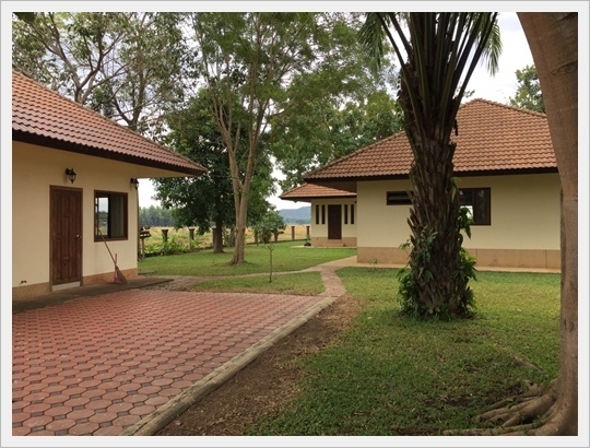 House size 1 rai near the resort Vivo Bene Village,Doi Saket,Chiangmai