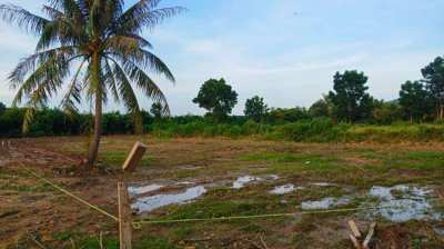 Land for sale in Pranburi area.