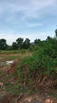 Land for sale in Pranburi area.