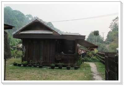 House on the mountain with coffee plantation, Doi saket, Chiangmai.