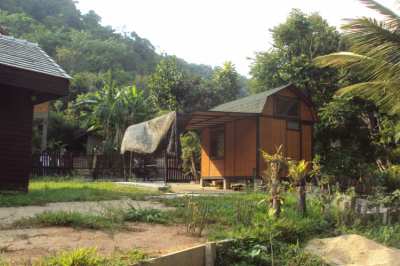 House on the mountain with coffee plantation, Doi saket, Chiangmai.