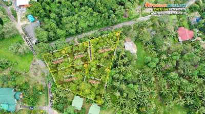 Land for sale, good location in the heart of Koh Phangan