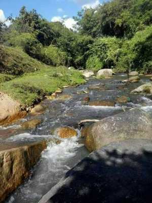 Land next to a stream, 6 rai of Pa Miang-Doi Saket, Chiang Mai.