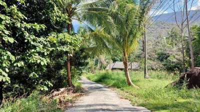 This flat land for sale in Baan Chaloklam