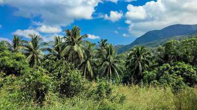 This flat land for sale in Baan Chaloklam