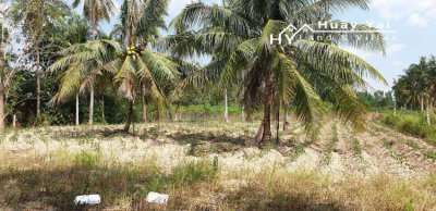 #1374   Good value land just off main road. Quiet. Rural. Isolated