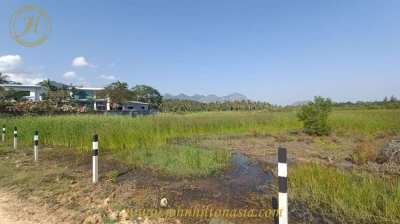 Land for sale in Sam Roi Yod, Pranburi