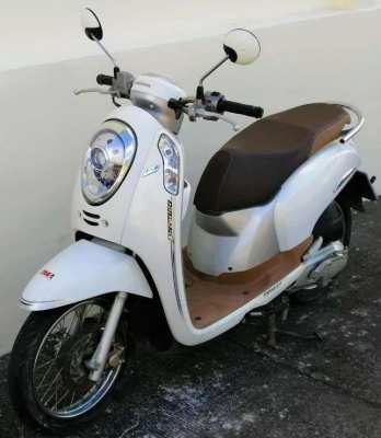 Honda Scoopy (2013/2015) Rent 1.500 ฿/month
