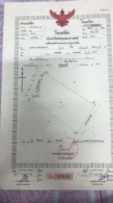 Nice Land for sale in Krabi close to tigercave with road and power ...