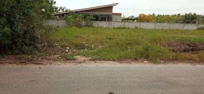 Sale land 1 nang for buiding house with all services. (800 mq)