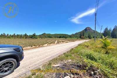 Beautiful mountain view land for sale.