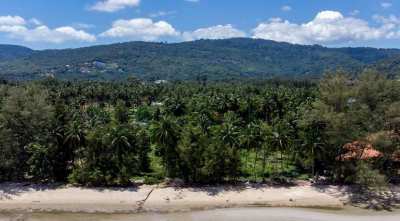 For sale beachfront land in Lipa Noi Koh Samui