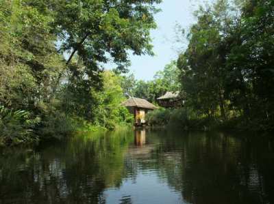Little home in nature, ideal for retirees, 15km to ChiangMai