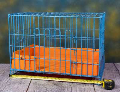 Large cage for pet.