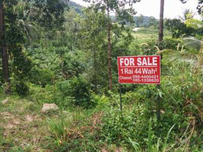 Land for sale Khanom (Nakhon Si Thammarat) chanote 1 rai 44 sqw