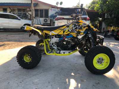 CAN-AM DS450 MX 