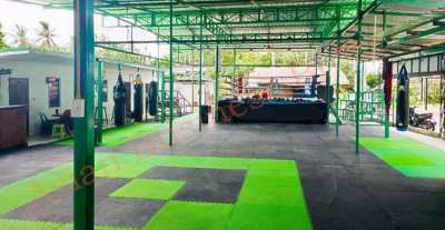 6705090 Well Setup Koh Phangan Gym and Restaurant for Sale