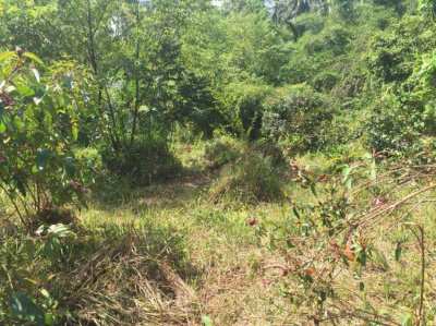 800 sqm land at 2 min drive from the beach
