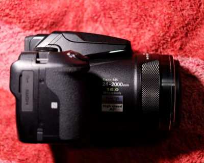 Nikon Coolpix P900 24-2000mm, 332x Digi zoom, EVF, Wi-Fi, NFC, GPS 