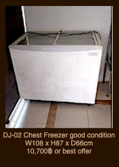 Chest Freezer 