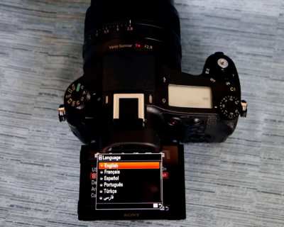 Sony RX10M2 Carl ZEISS T* 24–200mm F2.8  DSC-RX10 II Cyber-shot RX10M2