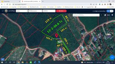 Land for sale, 12 rai, rubber plantation land, Rayong, near 36th road,