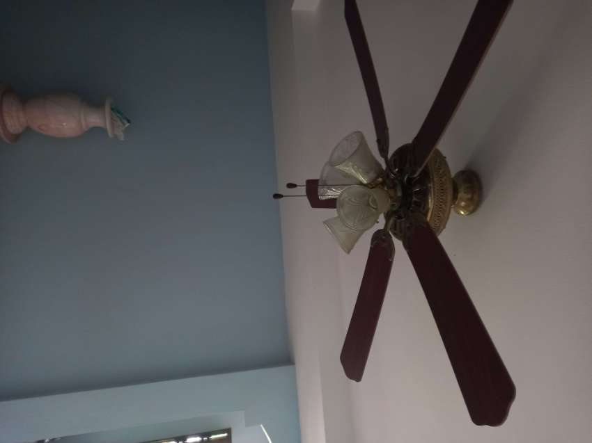 2 ceiling fans with lights
