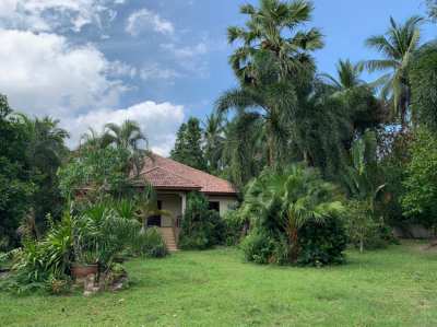 3 houses with a very large tropical garden