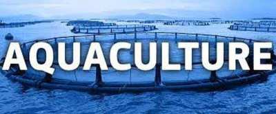 International Aquaculture Technology Business for Sale