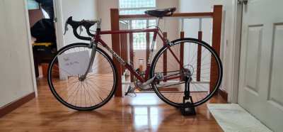 Colnaga Bicycle model Maxico (Limited Edition) for Sale!!!