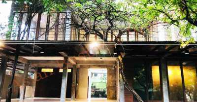 0114007 Stand Alone Building for Rent in Ratchada, Bangkok