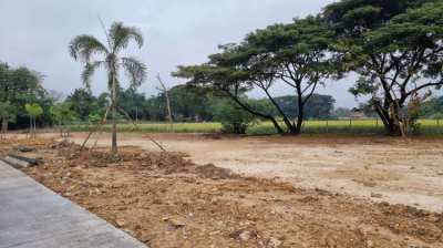 Land for Sale 9 Min Drive To Central Festival Chiang Mai
