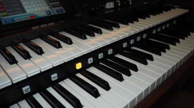 Roland AT 900 Organ