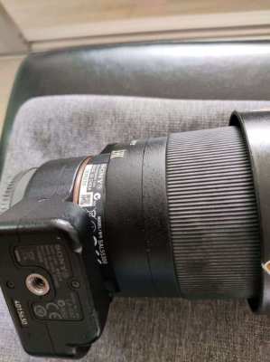 DT 55-300 mm F4.5-5.6 SAM SAL55300 + Sony Adapter A Mount to E Mount L