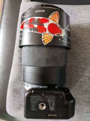 DT 55-300 mm F4.5-5.6 SAM SAL55300 + Sony Adapter A Mount to E Mount L