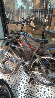 3 bicycles for a good home 