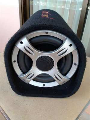 Active Subwoofer (with built-in Amplifier)