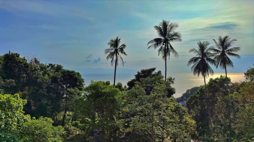 A superb piece of hillside land for sale in Koh Phangan